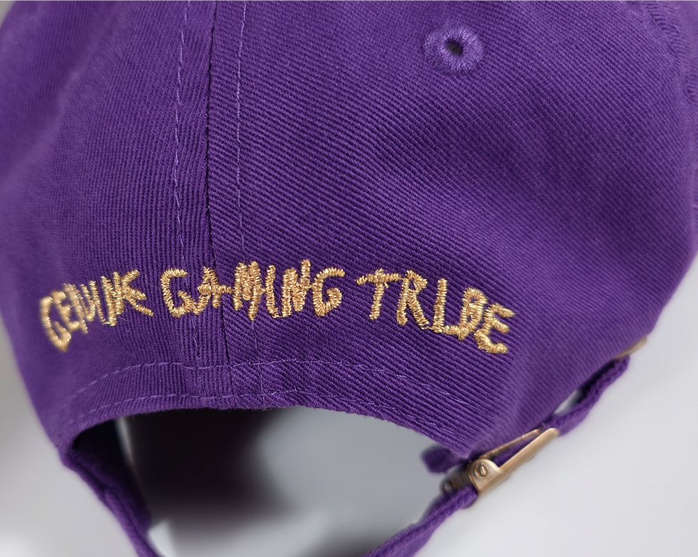 VRL CAP / PURPLE